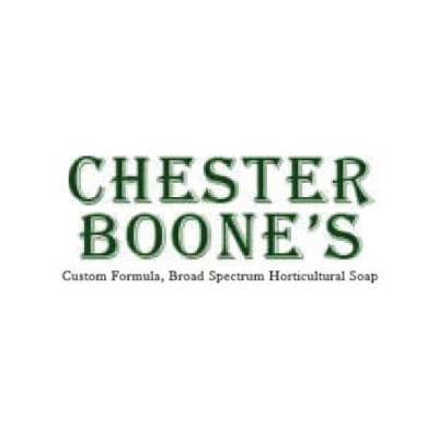 Chester Boone's