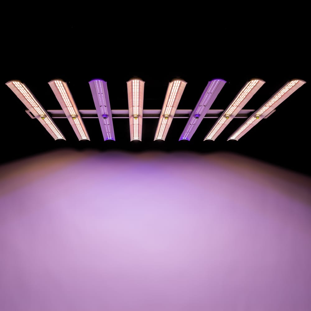 Astrica 780W UV Light LED Grow Light Purple
